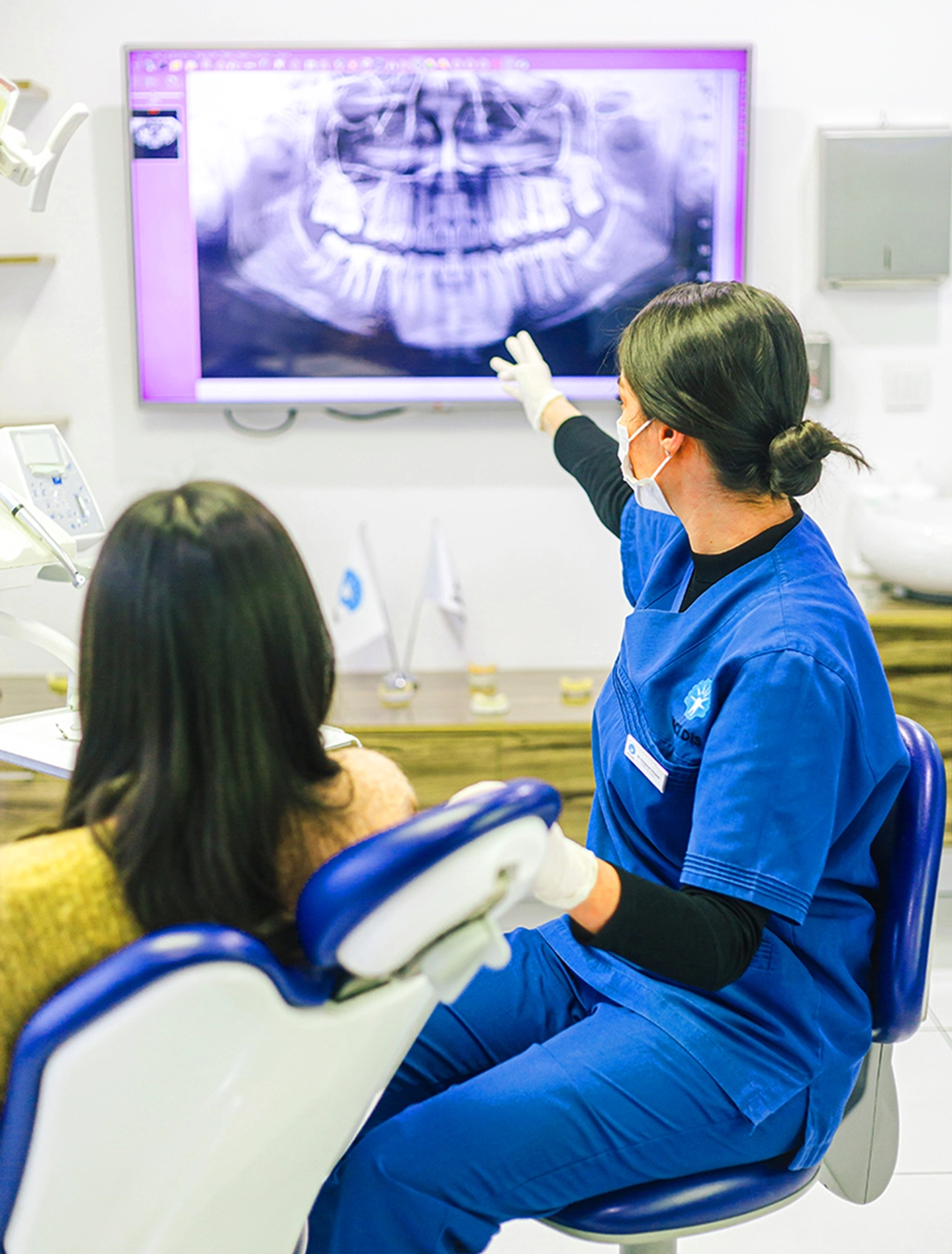 Relationship Between Orthodontic Treatment and Root Resorption